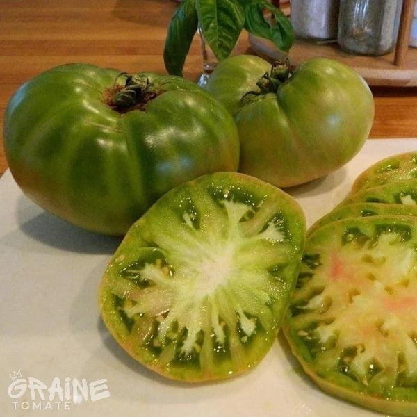 graine tomate Aunt Ruby's german green