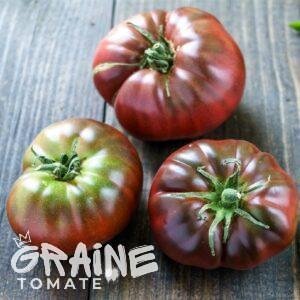 Graine tomate Brandywine black (tomate ancienne)