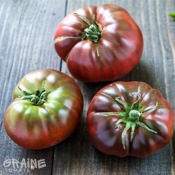 Graine tomate Brandywine black (tomate ancienne)