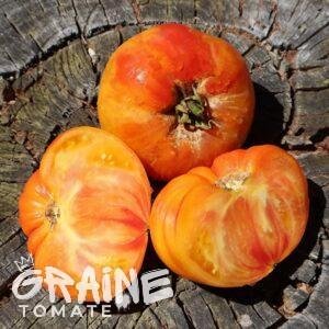 graine tomate Old german (tomate ancienne)