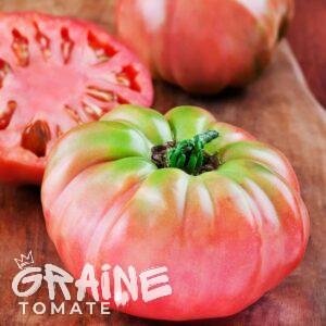 grainet tomate German Johnson Pink (tomate ancienne)