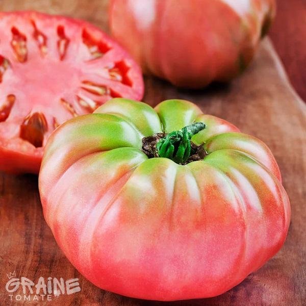 grainet tomate German Johnson Pink (tomate ancienne)