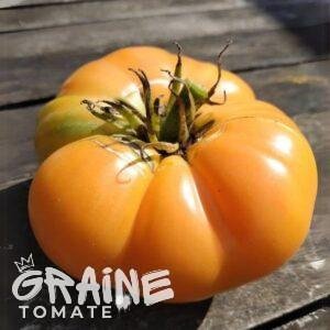 graine Tomate Kellog's breakfast (tomate ancienne)