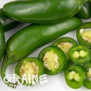 graine piment jalapeño rubens
