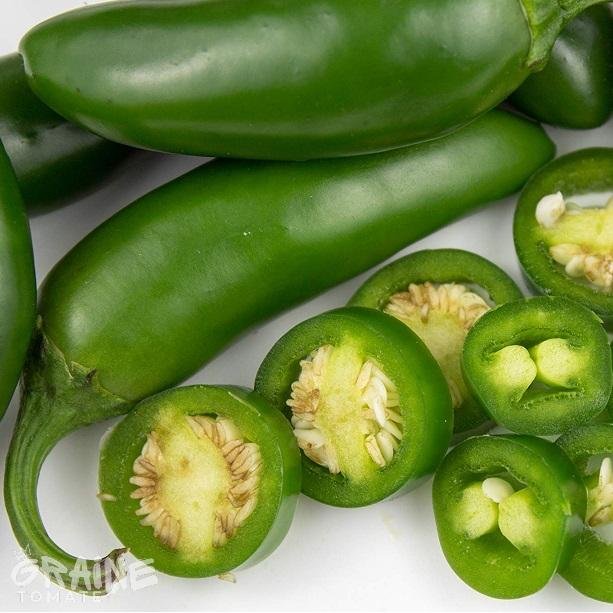 graine piment jalapeño rubens