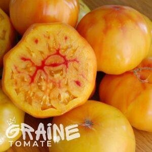graine tomate Gold Medal